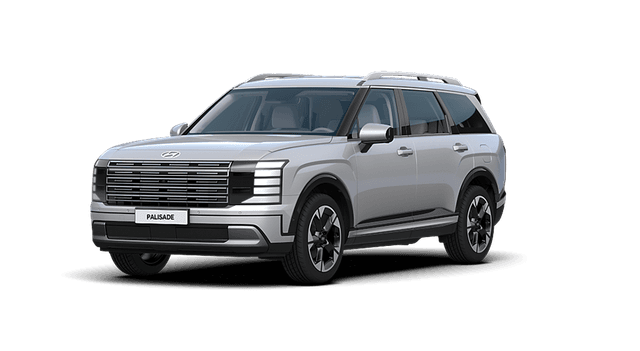 현대 팰리세이드